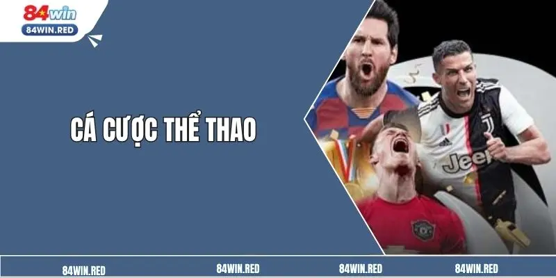 Cược thể thao chuyên nghiệp trên nền tảng
