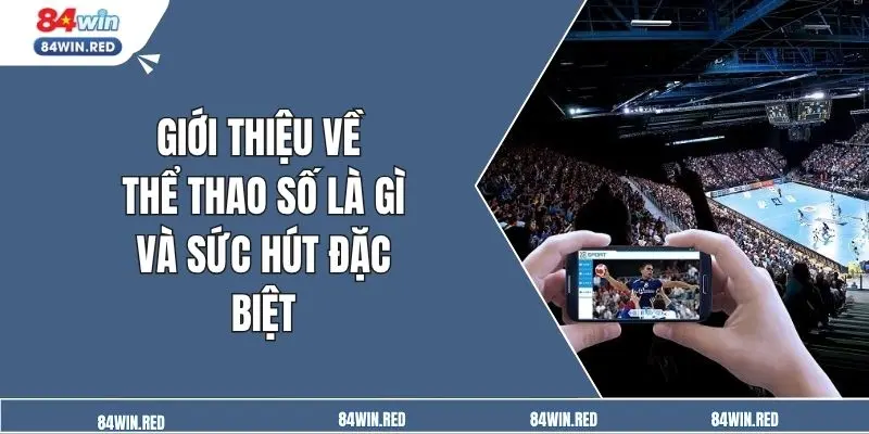 Giới Thiệu Về Thể Thao Số Là Gì Và Sức Hút Đặc Biệt