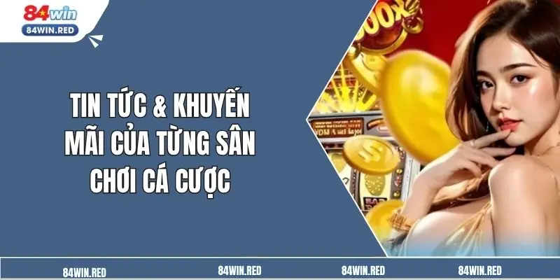 Tin tức & khuyến mãi của từng sân chơi cá cược